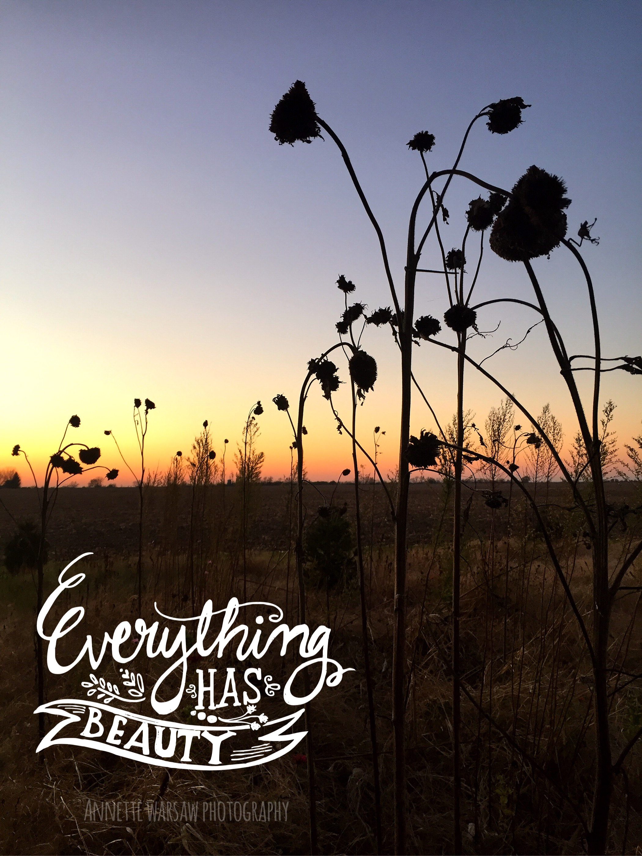 everything has beauty-4